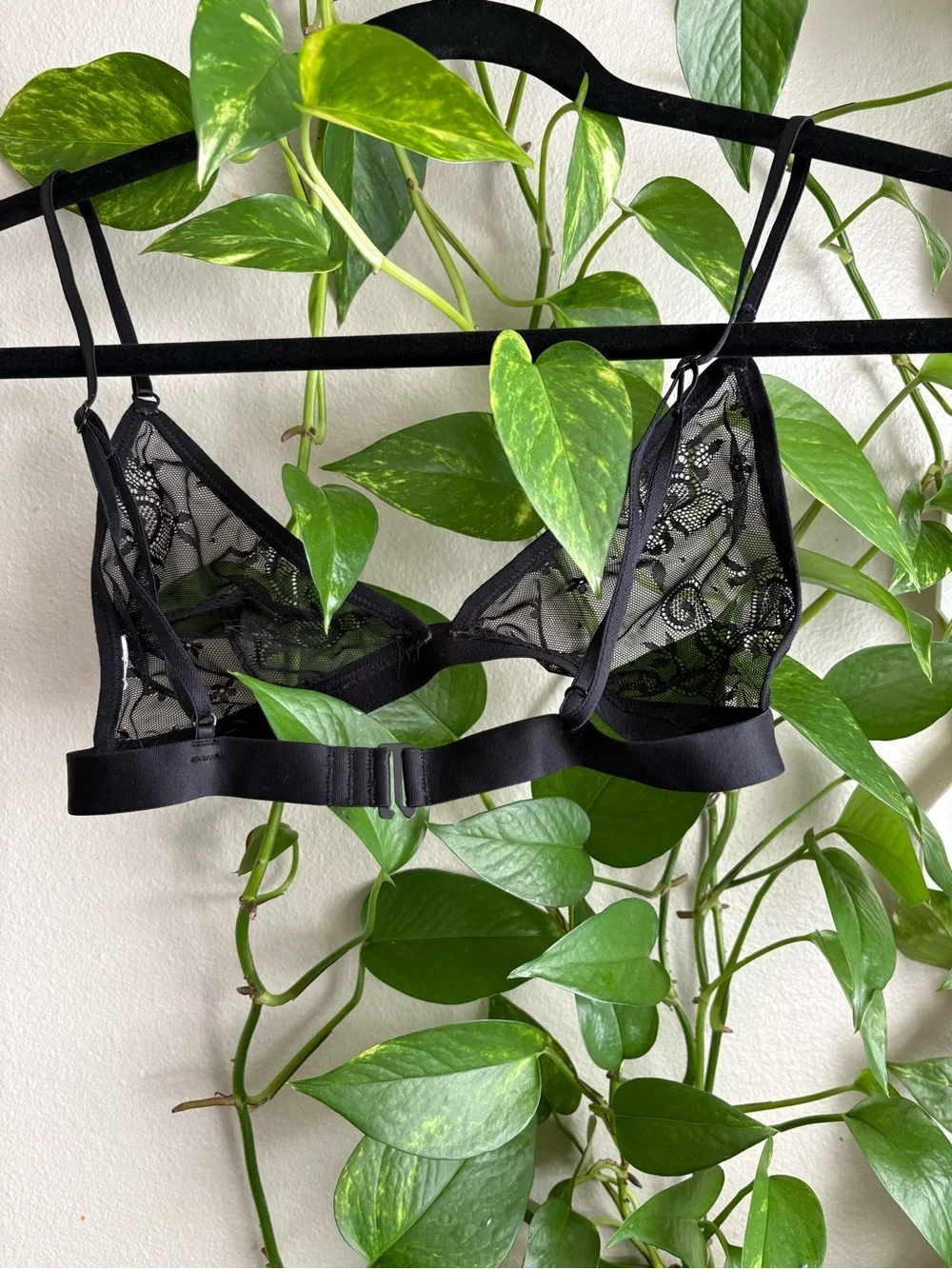 Sheer Lace Bralette - Black